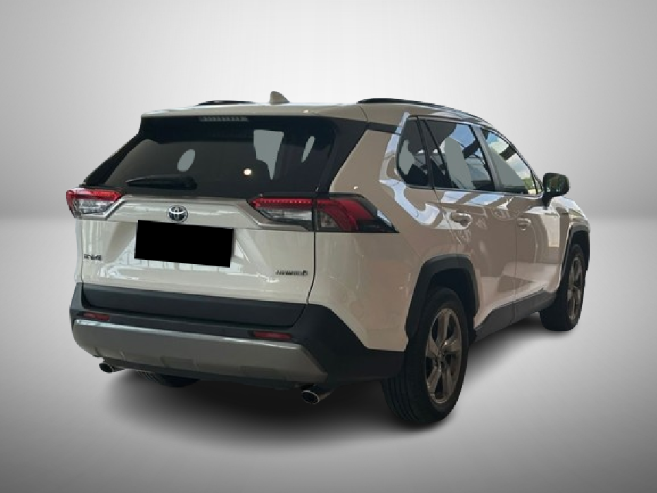 Toyota RAV4 2.5 Hybrid Club 4x2 (3)