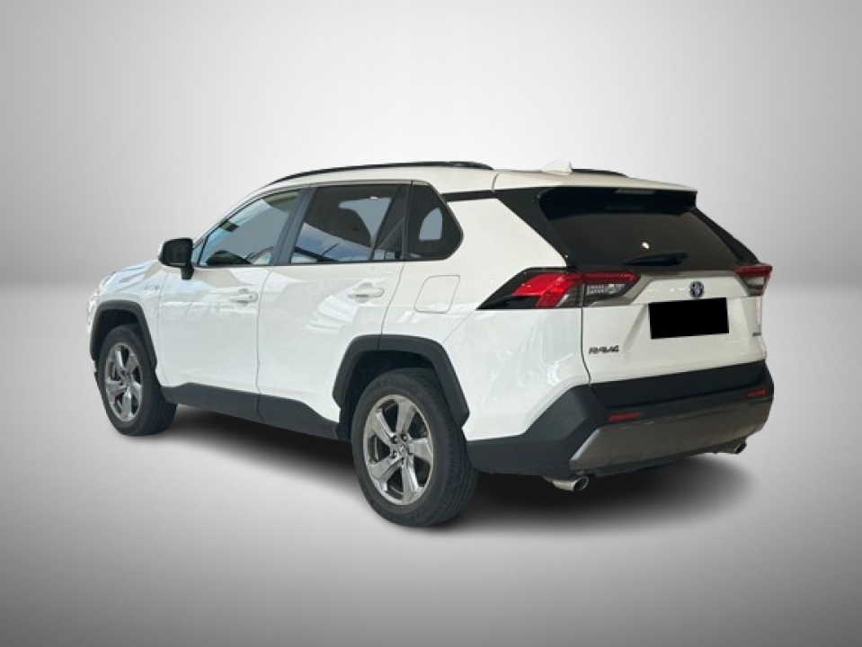 Toyota RAV4 2.5 Hybrid Club 4x2 (5)