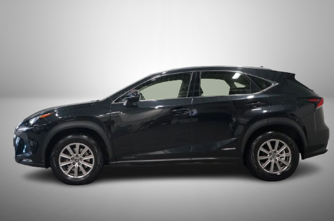 Lexus Seria NX 300h AWD 2.5 E-CVT Business Line (2)