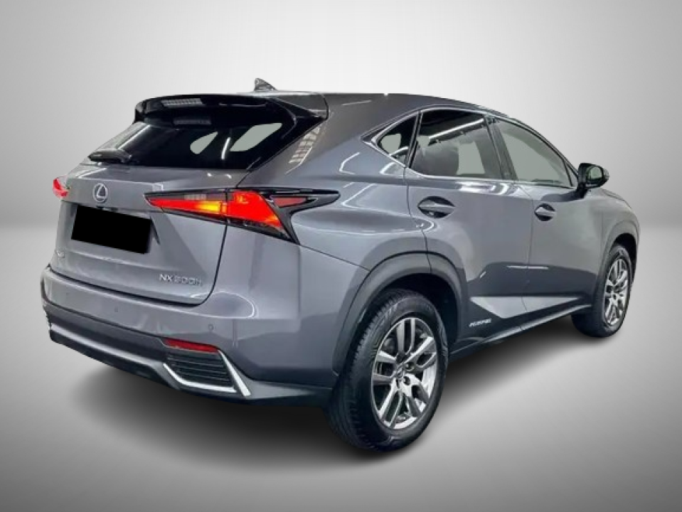 Lexus Seria NX 300h Executive Line (3)