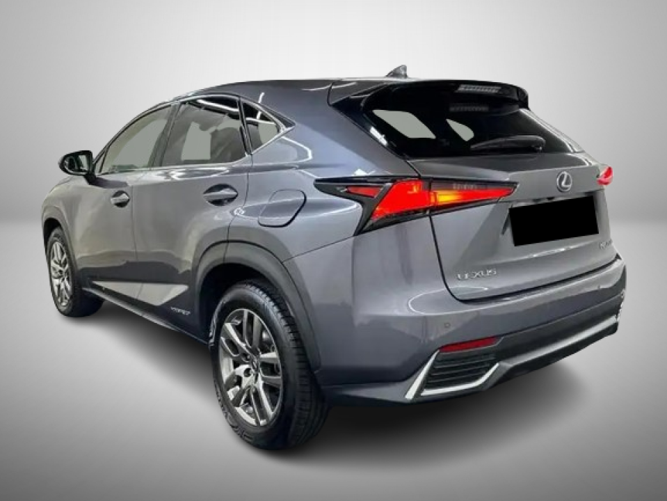 Lexus Seria NX 300h Executive Line (4)