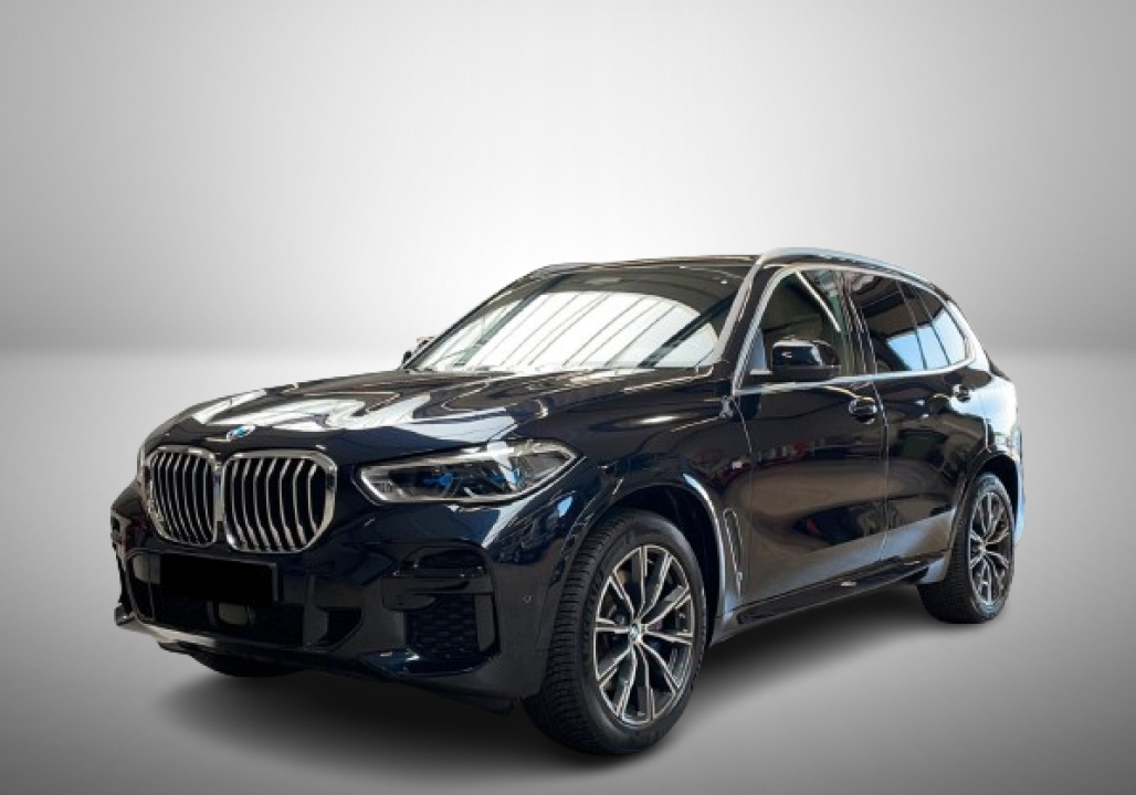 BMW X5 xDrive40i M-Sport (3)