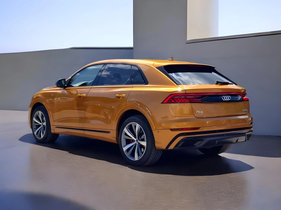 Audi Q8 50 TDI qu S line (4)