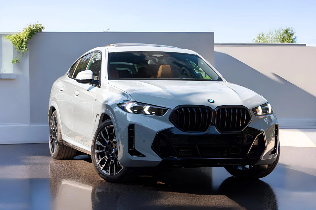 BMWX6 40i M SPORT PRO (2)