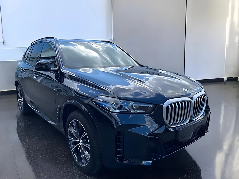 BMW X5 xDrive30d (1)