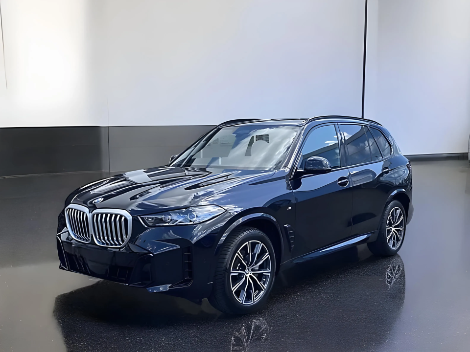 BMW X5 xDrive30d (5)