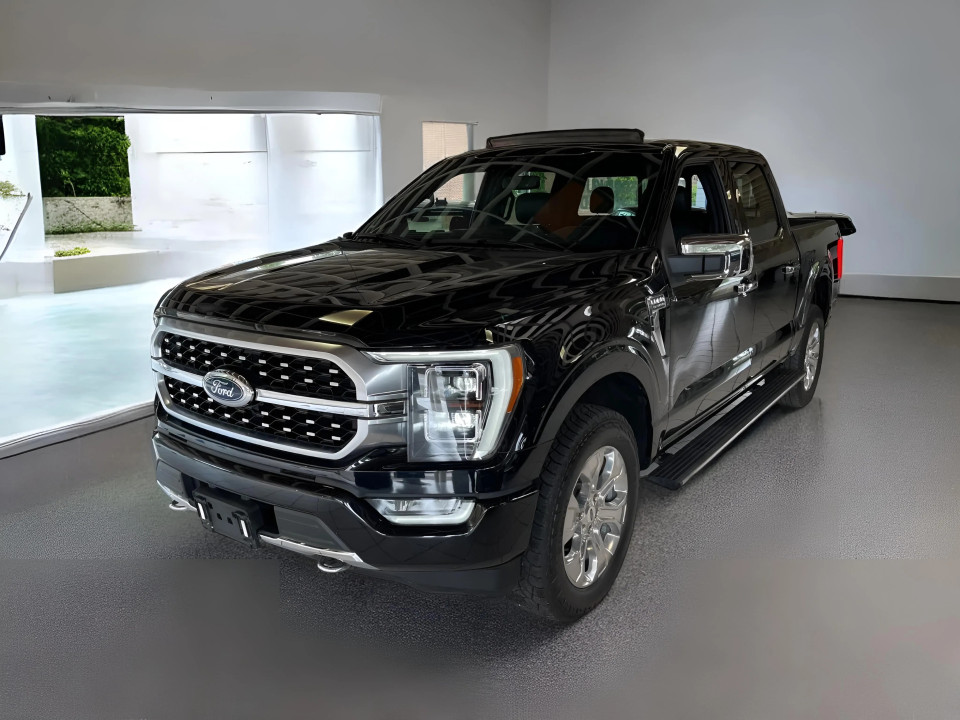 Ford F150 3.5 EcoBoost V6 Platinum (2)