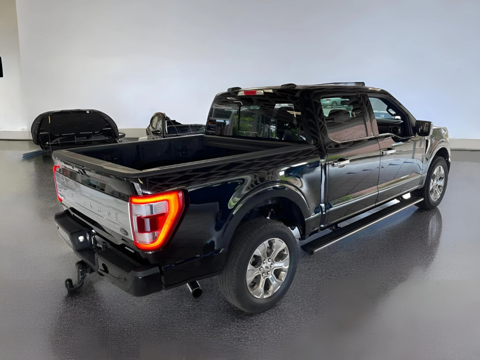 Ford F150 3.5 EcoBoost V6 Platinum (3)