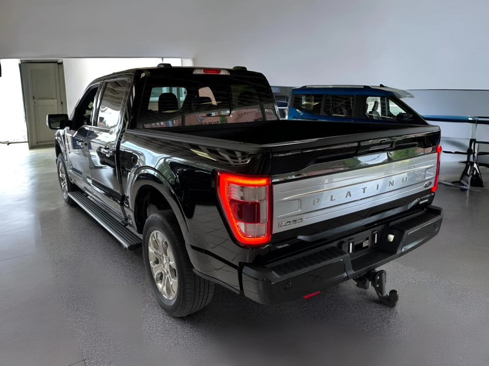 Ford F150 3.5 EcoBoost V6 Platinum (4)