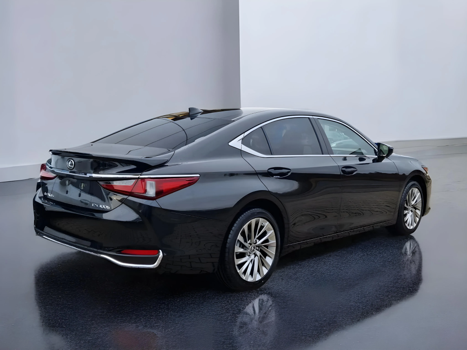 Lexus Seria ES 300h Luxury Line (3)