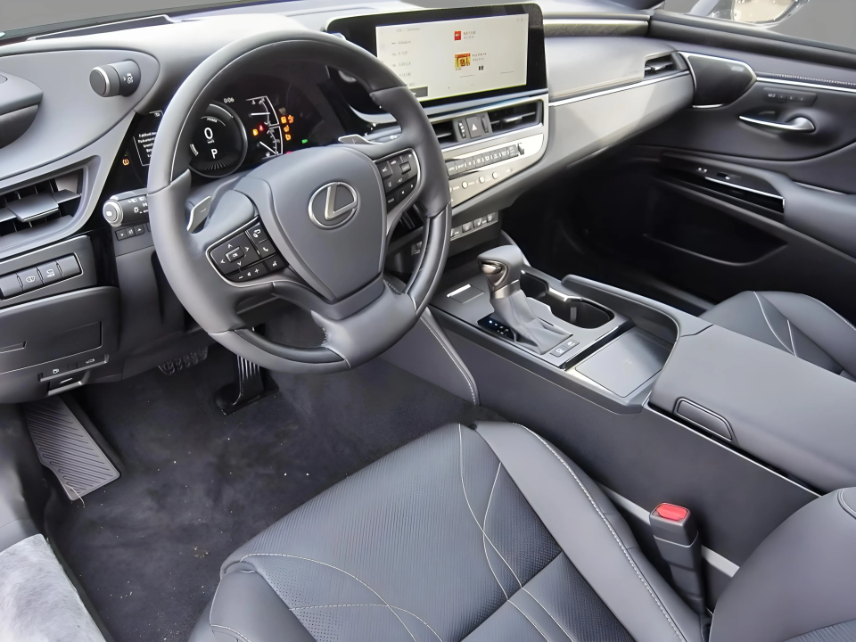 Lexus Seria ES 300h Luxury Line (4)