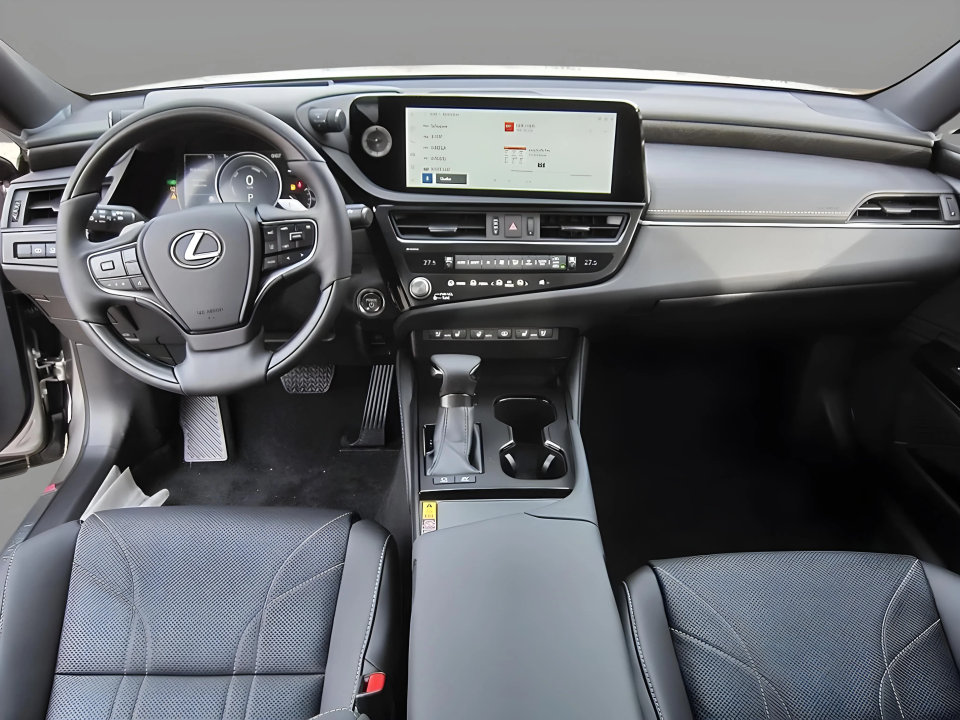 Lexus Seria ES 300h Luxury Line (5)