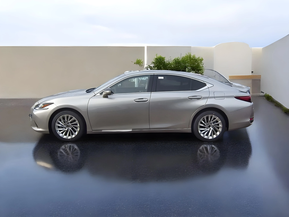 Lexus Seria ES 300h Luxury Line (2)