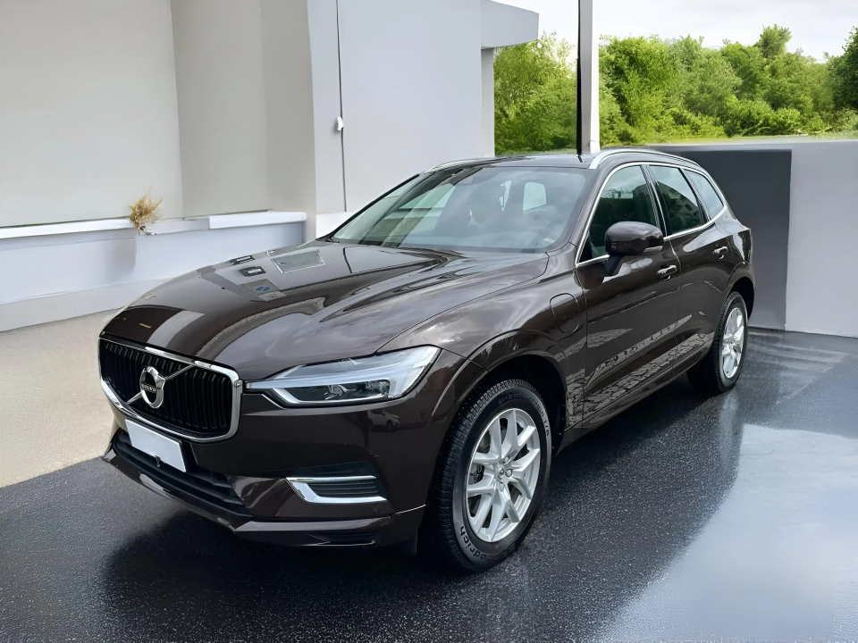 Volvo XC 60 T8 Recharge Business Plus (3)