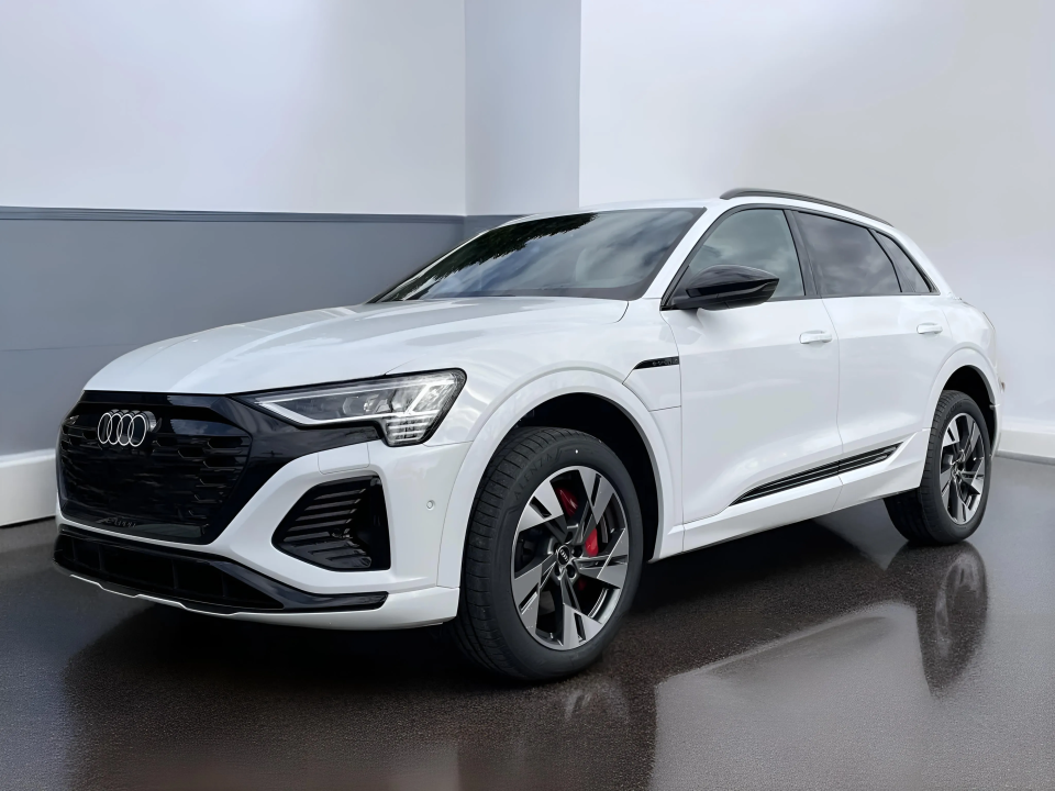 Audi Q8 e-tron 50 quattro S-Line (3)