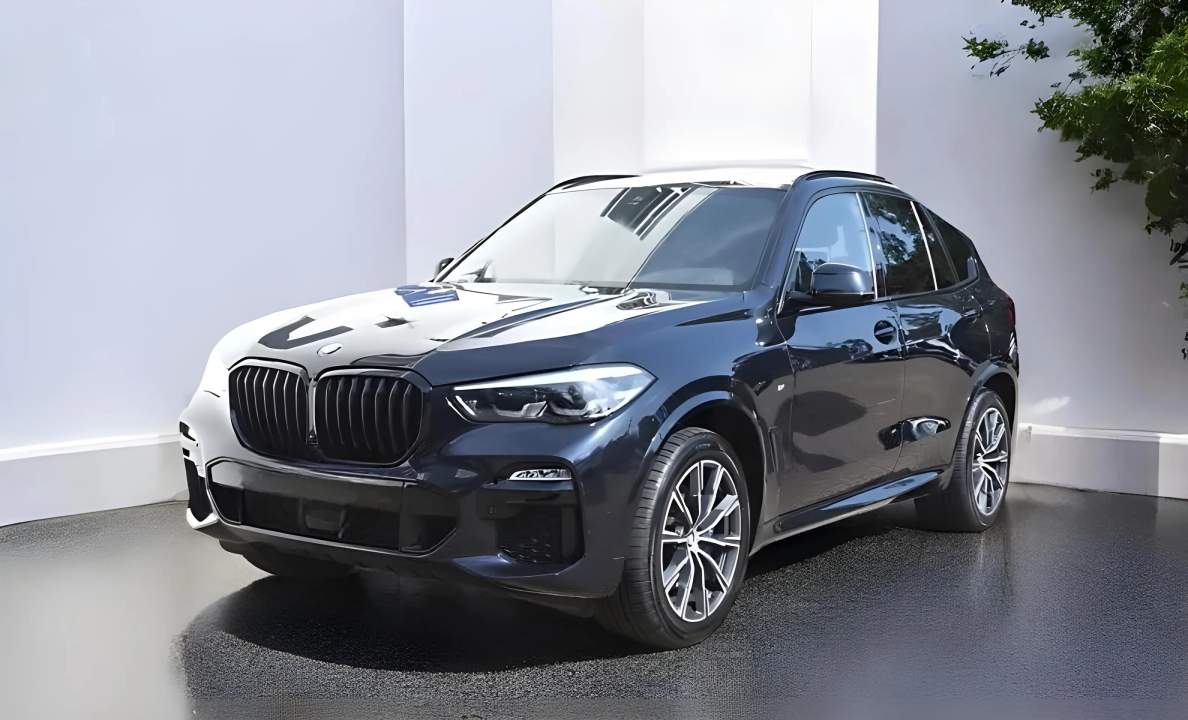 BMW X5 xDrive25d (1)