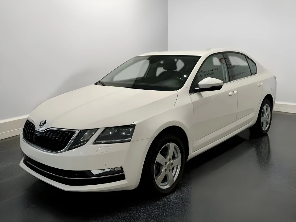 Skoda Škoda Octavia Style 2.0 TDI (4)