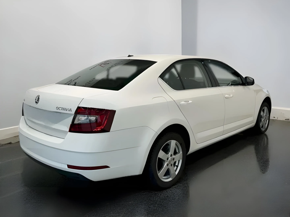 Skoda Škoda Octavia Style 2.0 TDI (2)