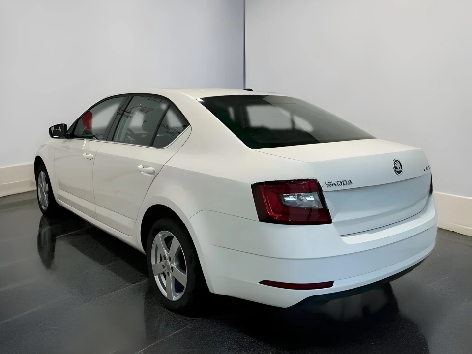 Skoda Škoda Octavia Style 2.0 TDI (3)