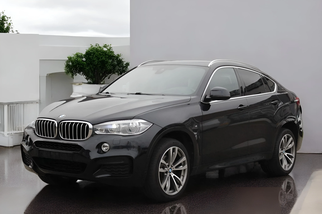 BMW X6 xDrive 30d Pachet M (4)