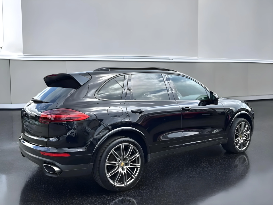 Porsche Cayenne Platinum Edition (3)