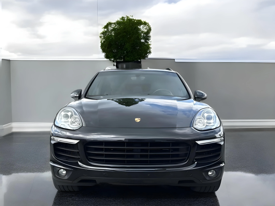 Porsche Cayenne Platinum Edition - foto 8