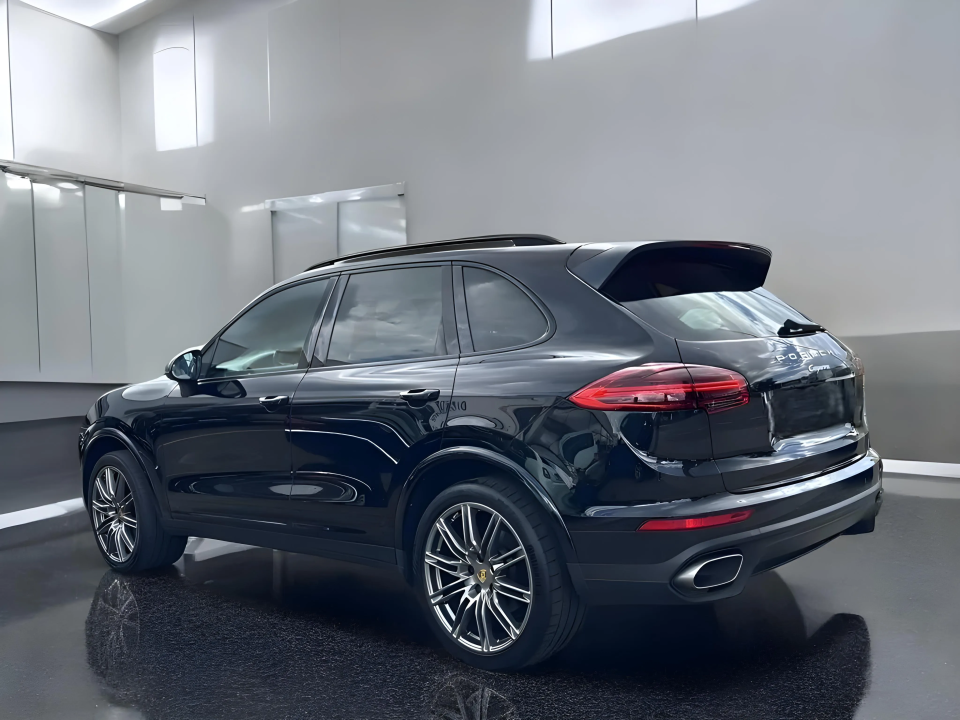 Porsche Cayenne Platinum Edition (5)