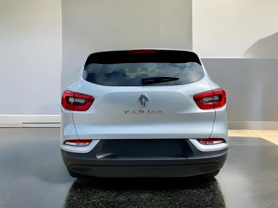 Renault Kadjar Business Edition (4)