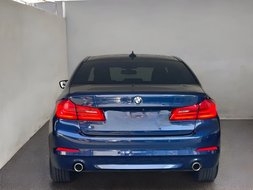 BMW Seria 5 520d xDrive (5)