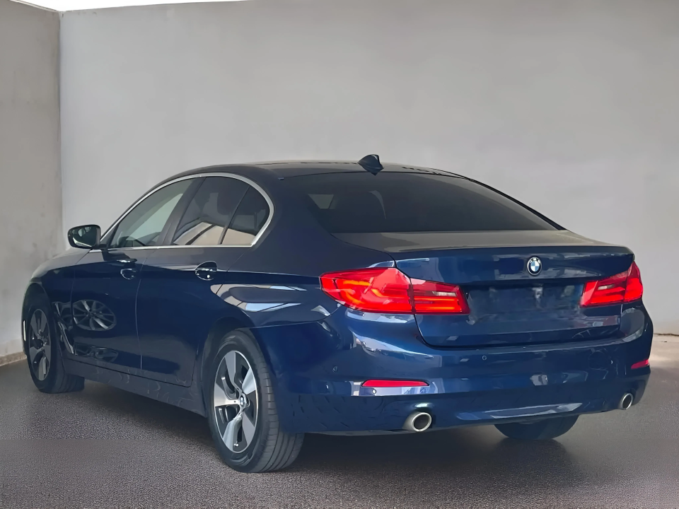 BMW Seria 5 520d xDrive (4)