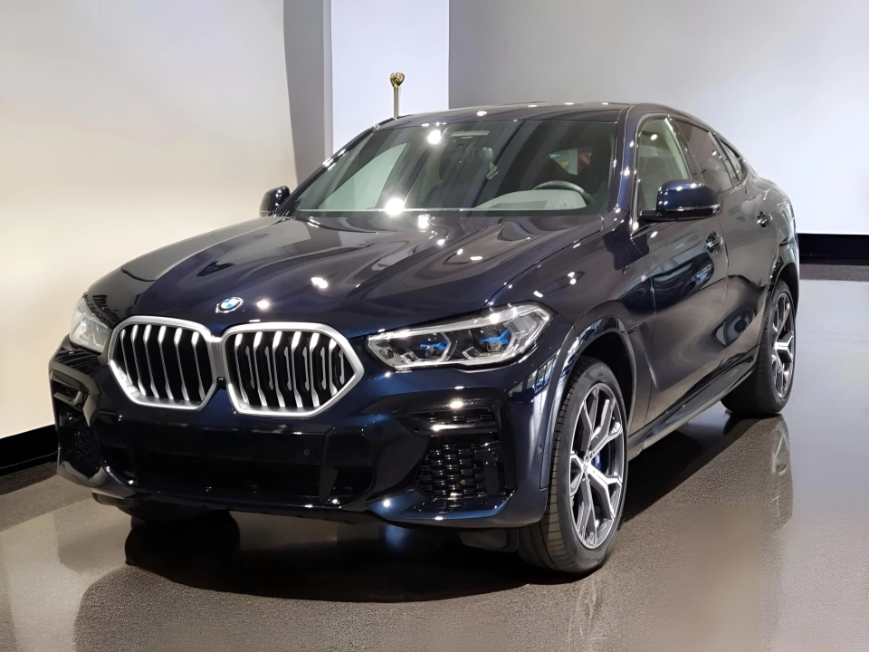 BMW X6 xDrive40d (1)