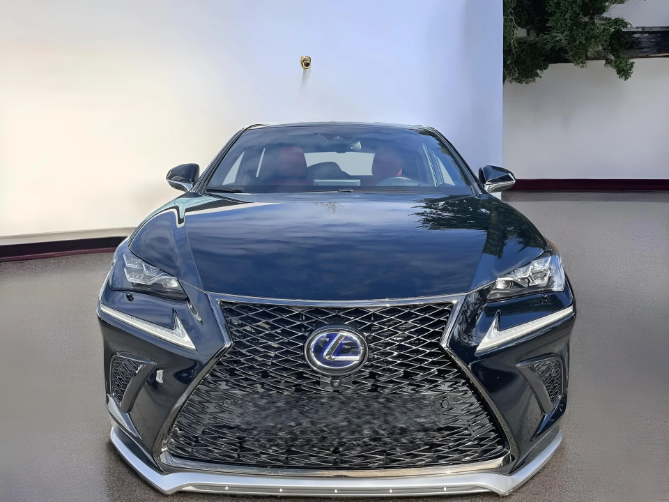 Lexus Seria NX 300h F-Sport E-Four (5)