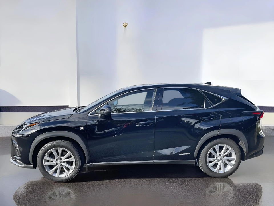 Lexus Seria NX 300h F-Sport E-Four (2)