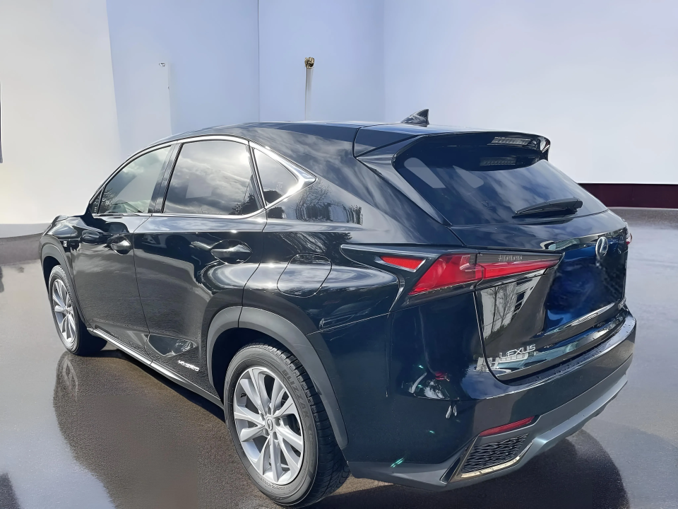 Lexus Seria NX 300h F-Sport E-Four (3)