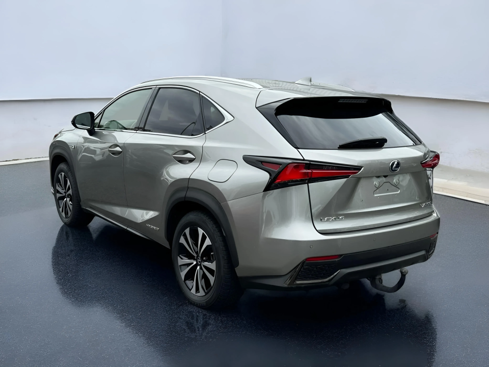 Lexus Seria NX 300h F-Sport E-Four (5)