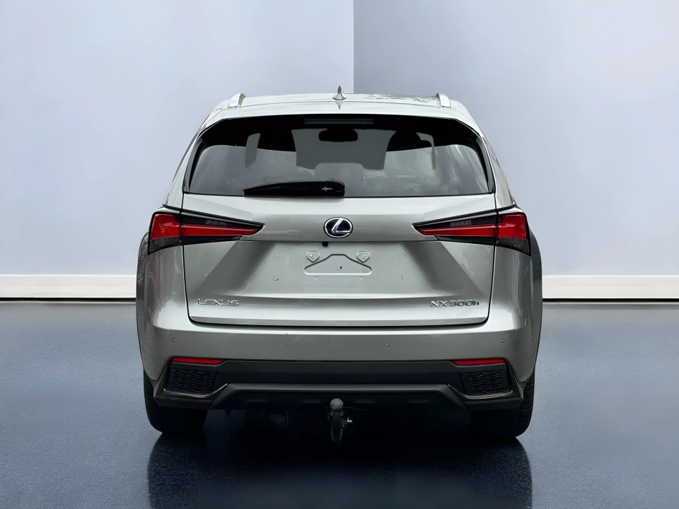 Lexus Seria NX 300h F-Sport E-Four (4)