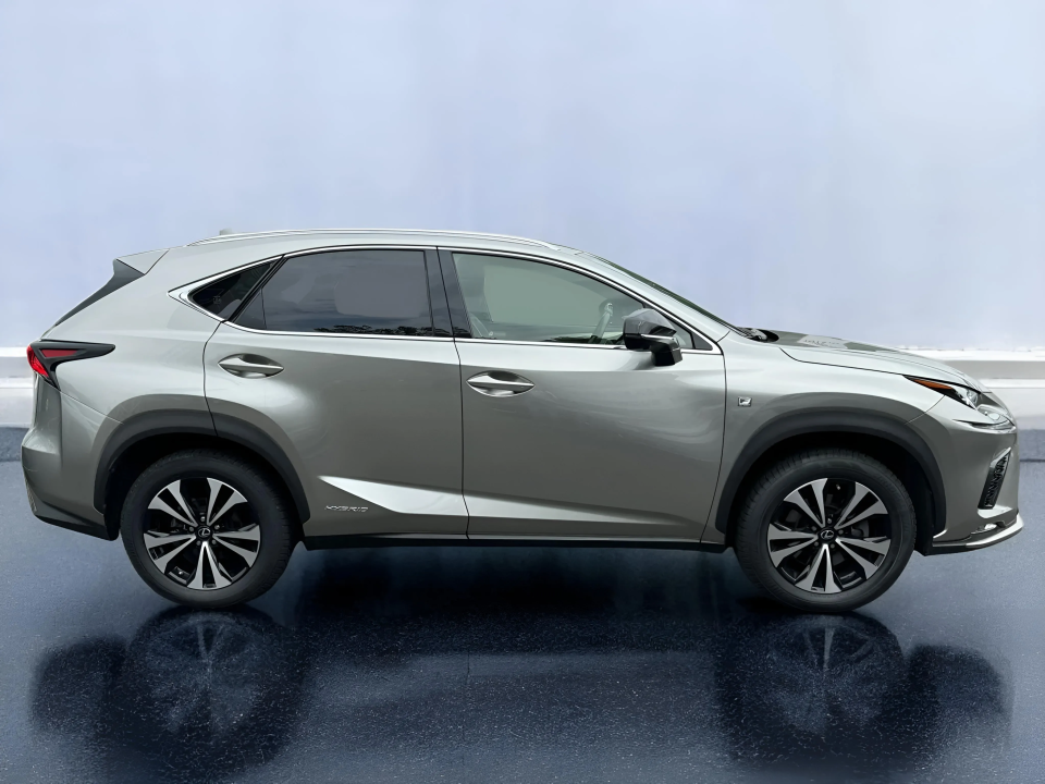 Lexus Seria NX 300h F-Sport E-Four (2)