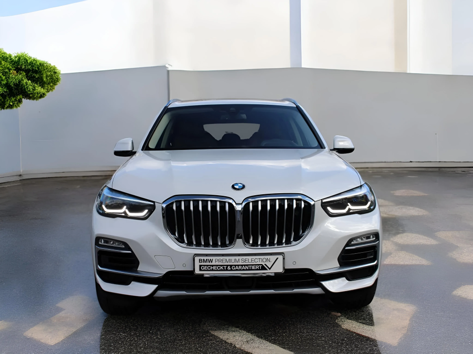 BMW X5 xDrive45e xLine (2)