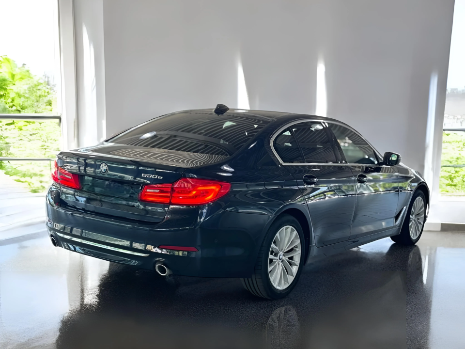 BMW Seria 5 530 e Luxury Line (2)