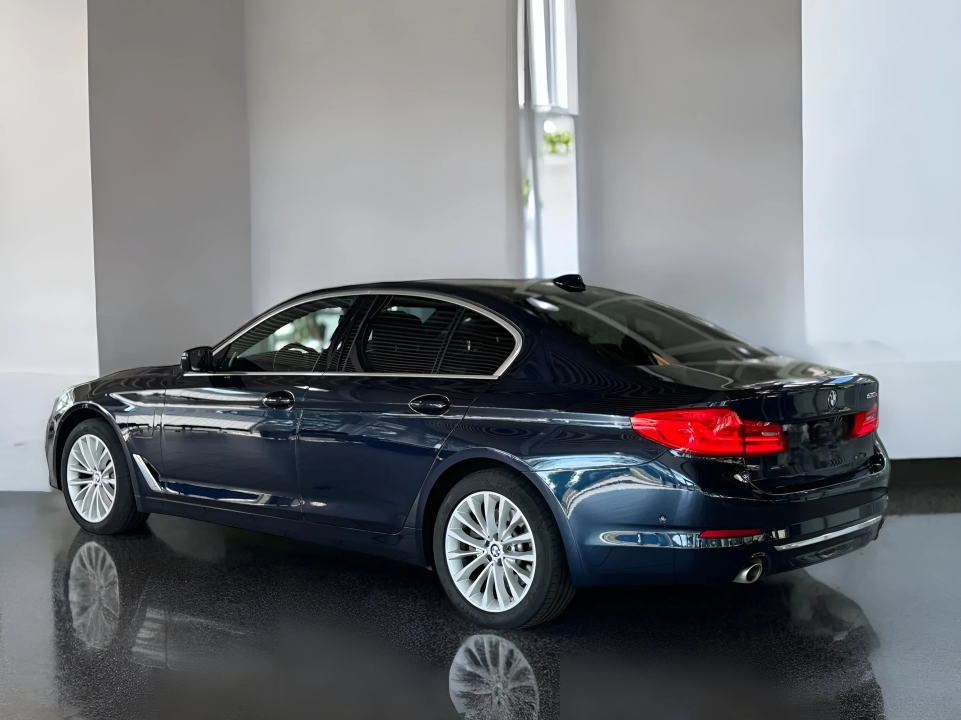 BMW Seria 5 530 e Luxury Line (3)