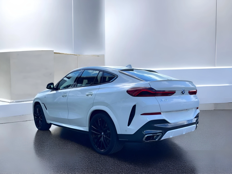 BMW X6 xDrive40i M-Sport (5)