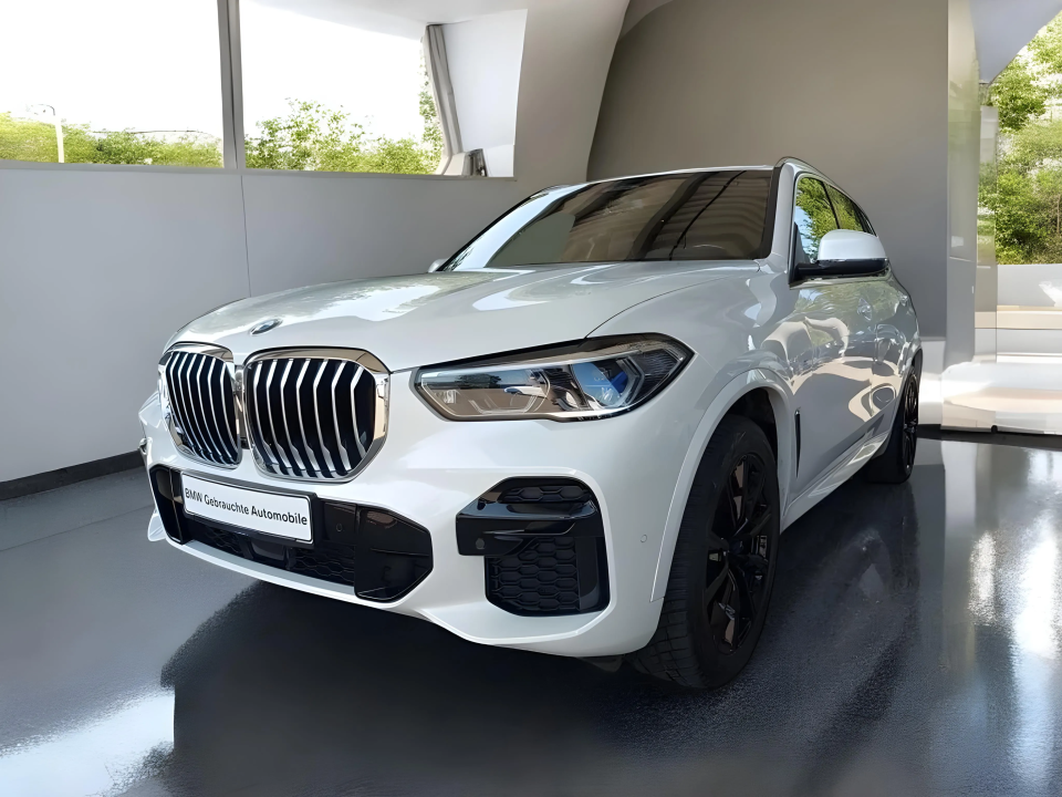 BMW X5 xDrive30d M-Sport (3)