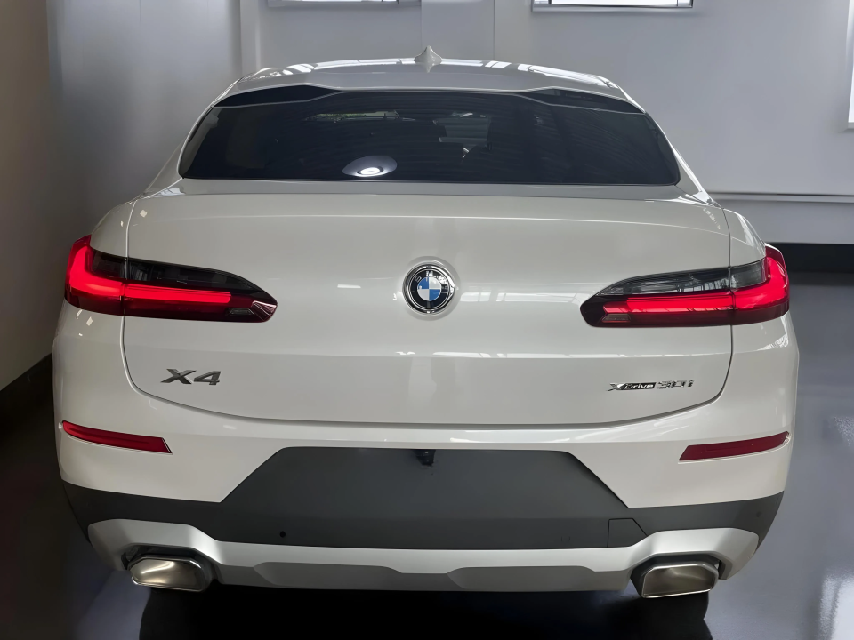 BMW X4 xDrive30i (4)