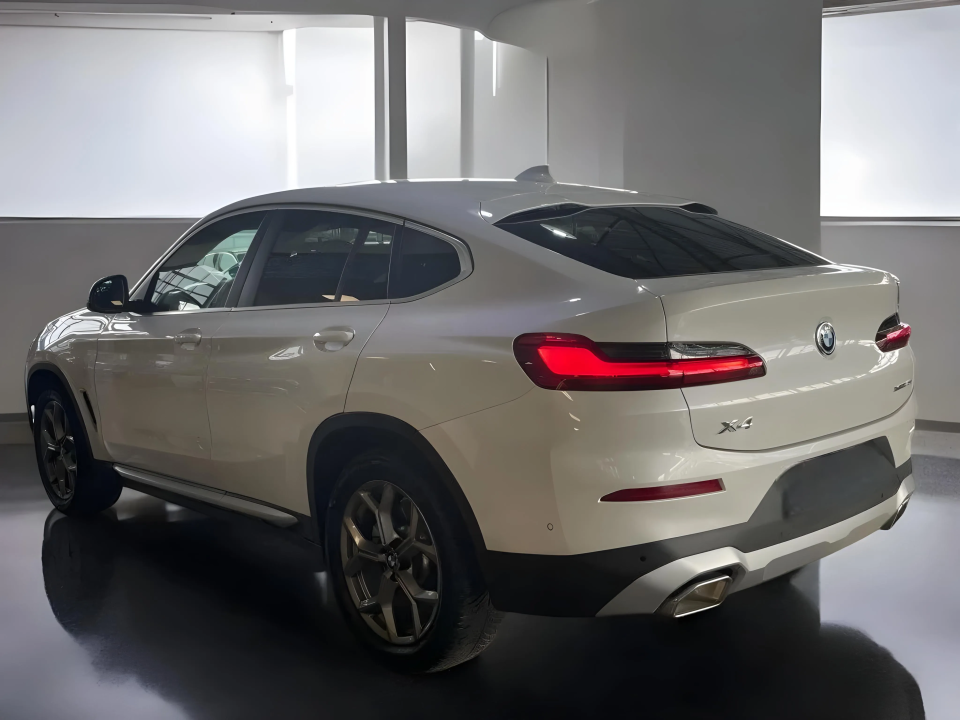 BMW X4 xDrive30i (5)