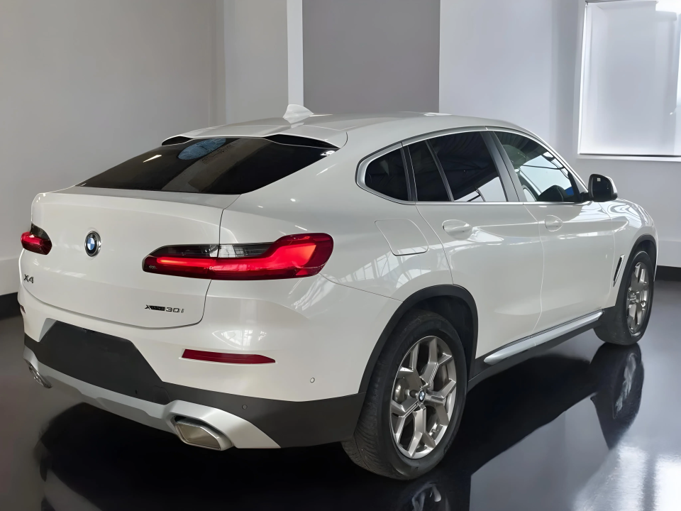 BMW X4 xDrive30i (3)