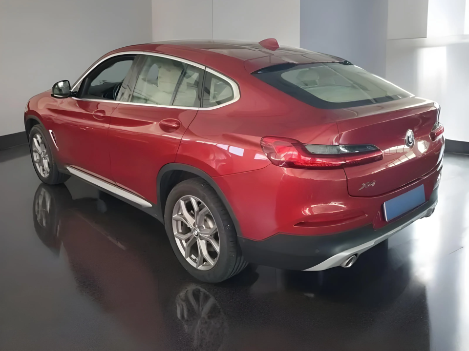 BMW X4 xDrive20d xLine (4)