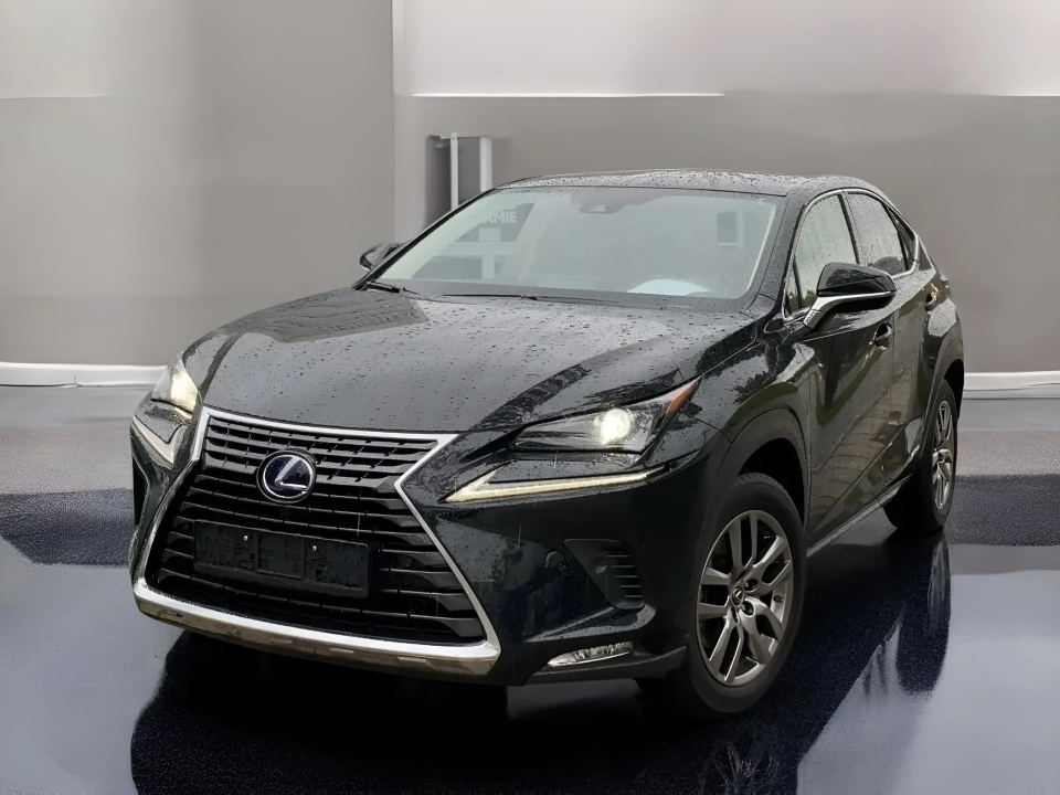 Lexus Seria NX 300h Executive Line (3)