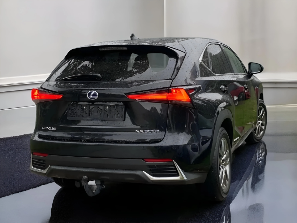 Lexus Seria NX 300h Executive Line (4)