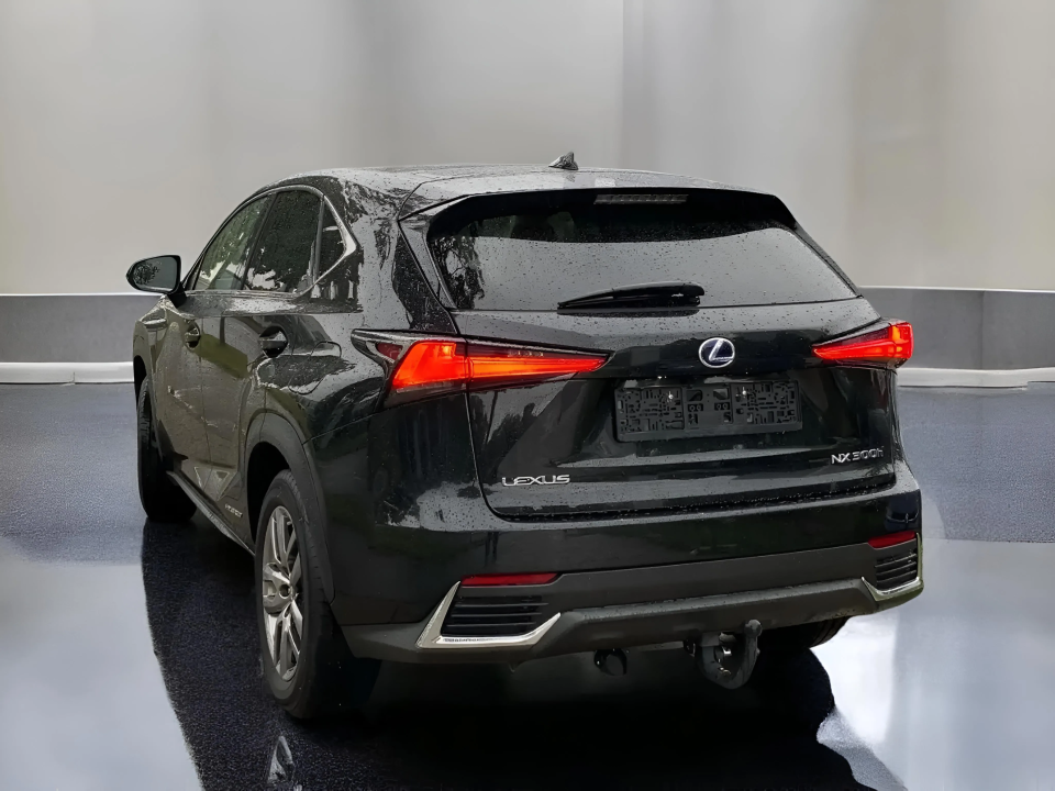 Lexus Seria NX 300h Executive Line (5)