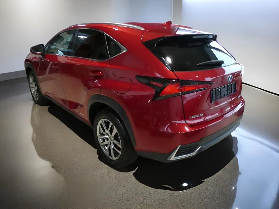 Lexus Seria NX 300h Executive Line (3)